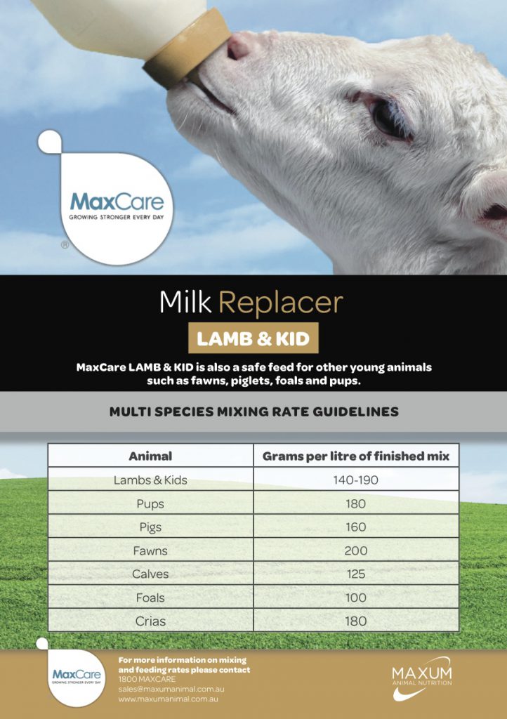 MaxCare Lamb & Kid perfect for piglets, foals, and fawns MaxCare